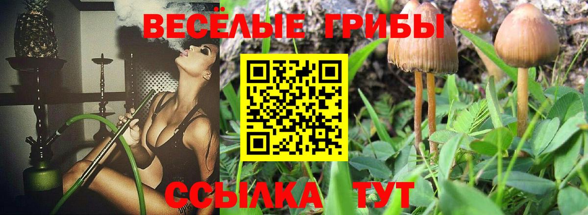Псилоцибиновые грибы GOLDEN TEACHER Кирово-Чепецк