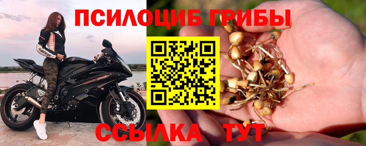 Галлюциногенные грибы мицелий  Псилоцибиновые грибы Cubensis  Кирово-Чепецк  Вход с VPN 